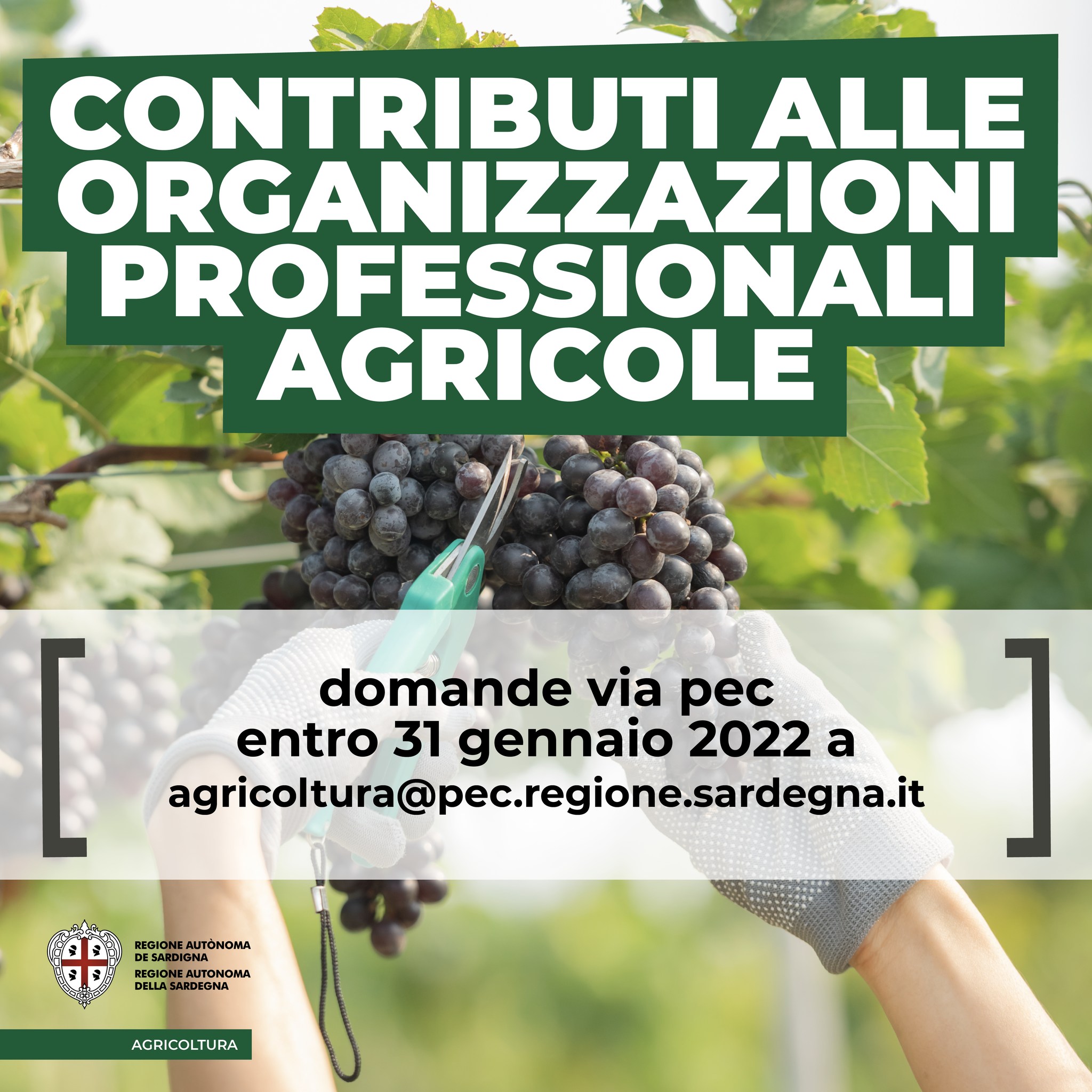 Agricoltura Contributi organizzazioni professionali agricole